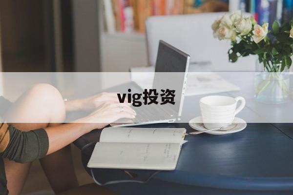 vig投资(viggle官网)